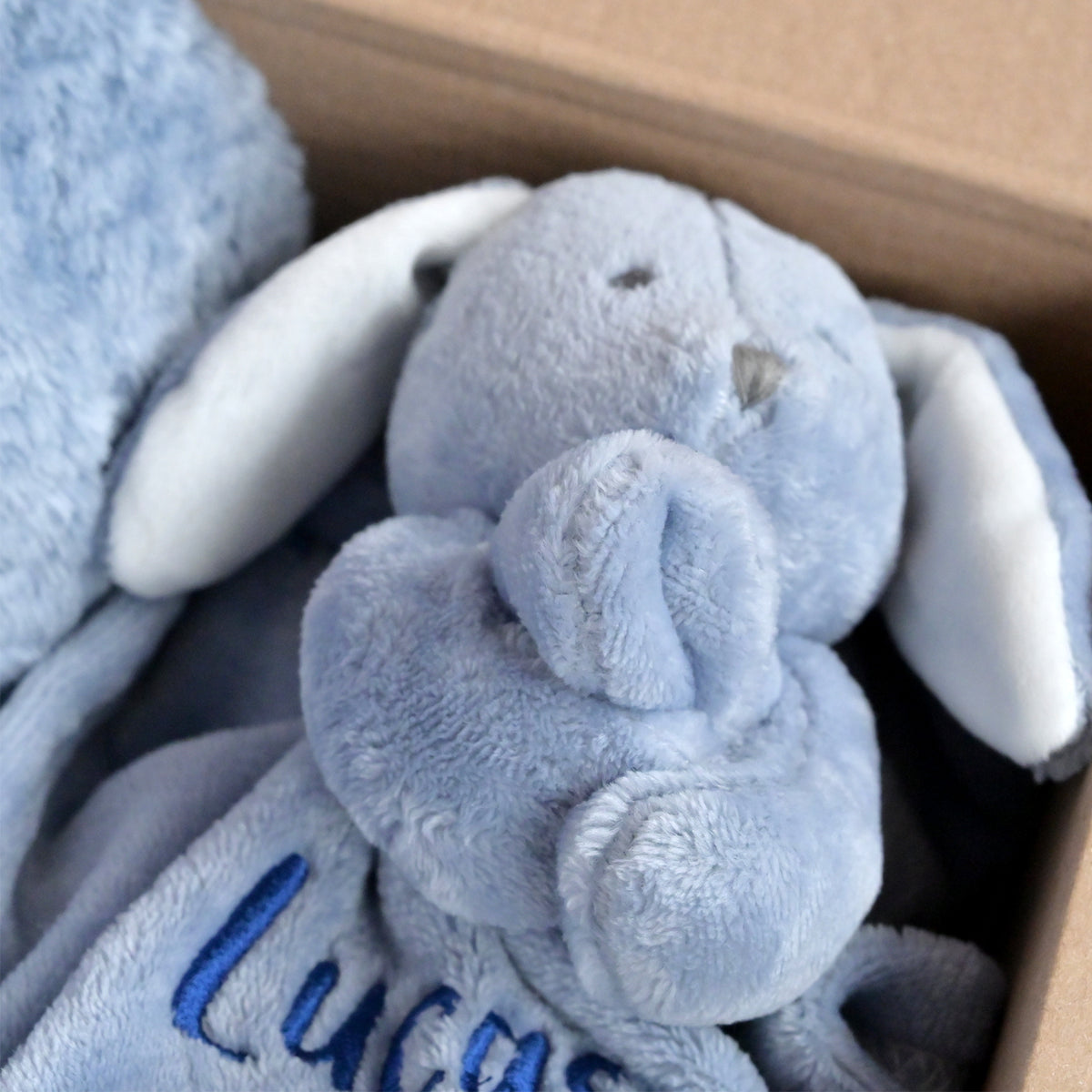 A close-up of a light blue plush elephant toy nestled inside a brown cardboard box. The toy has white inner ears, a stitched nose, and blue embroidered text on a blanket underneath that reads 'Lucas'.