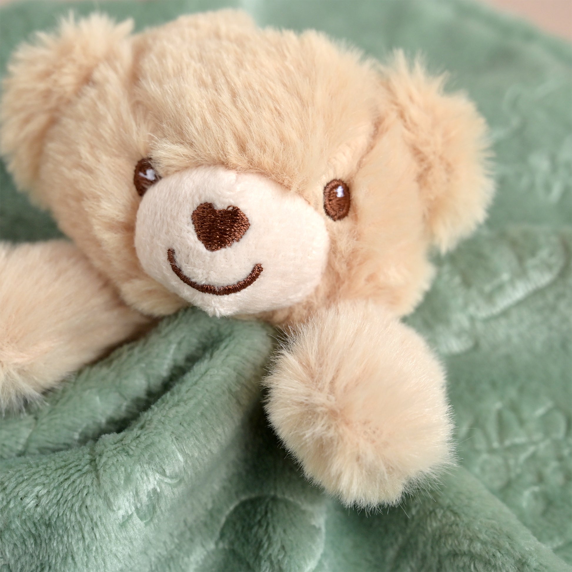 A close-up of a beige plush teddy bear with a white snout and embroidered brown smile, resting on a soft green blanket.